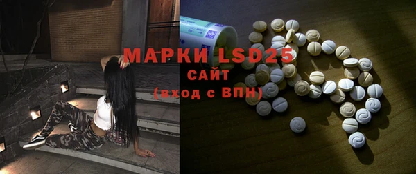 гашик Алексин