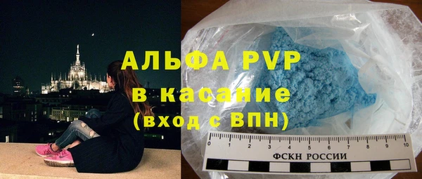 гашик Алексин