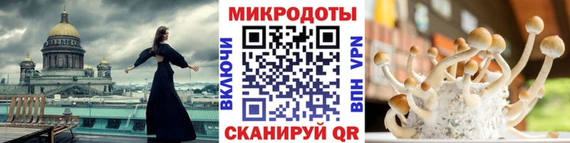 Псилоцибиновые грибы прущие грибы Чёрмоз