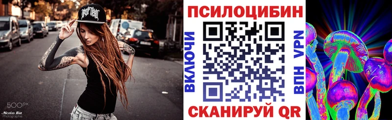 Псилоцибиновые грибы Psilocybe  купить наркотики сайты  мега ссылки  Чёрмоз 